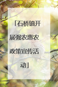 石桥镇开展强农惠农政策宣传活动