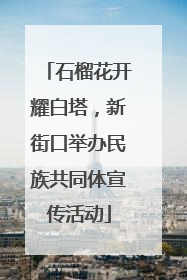 石榴花开耀白塔，新街口举办民族共同体宣传活动