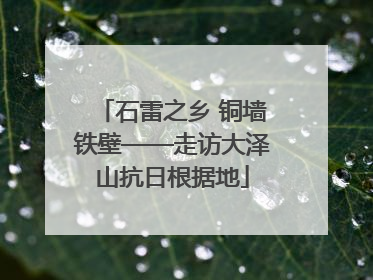 石雷之乡 铜墙铁壁——走访大泽山抗日根据地