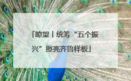 瞭望丨统筹“五个振兴”擦亮齐鲁样板