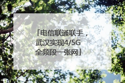 电信联通联手，武汉实现4/5G全频段一张网