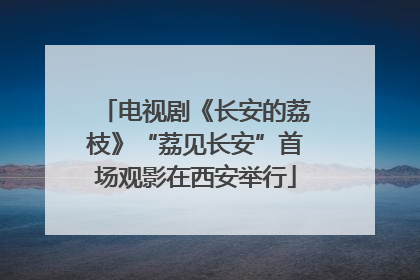 电视剧《长安的荔枝》“荔见长安”首场观影在西安举行