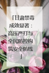 甘肃禁毒成效显著：高压严打与全民防控构筑安全防线