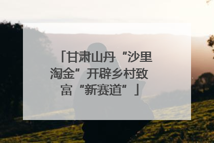 甘肃山丹“沙里淘金”开辟乡村致富“新赛道”