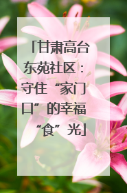甘肃高台东苑社区：守住“家门口”的幸福“食”光