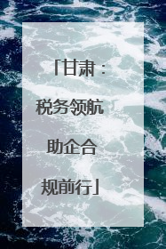 甘肃：税务领航 助企合规前行