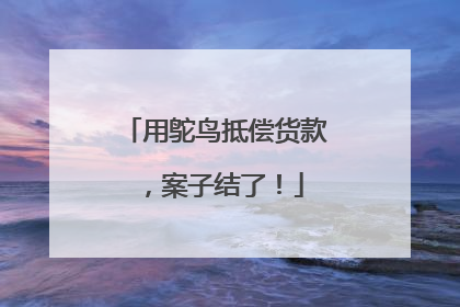 用鸵鸟抵偿货款，案子结了！