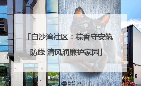 白沙湾社区：粽香守安筑防线 清风润廉护家园