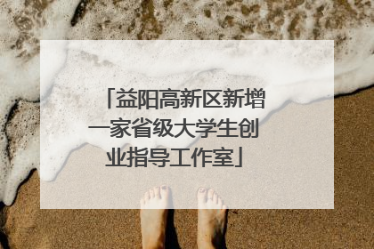 益阳高新区新增一家省级大学生创业指导工作室