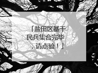 盐田区基干民兵集合完毕，请点验！