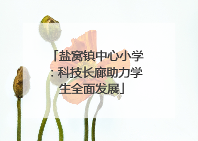 盐窝镇中心小学：科技长廊助力学生全面发展