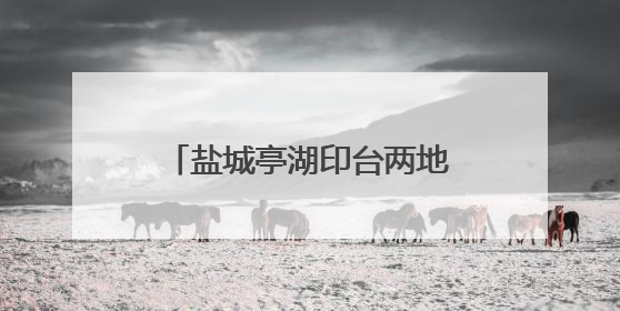 盐城亭湖印台两地心连心 志愿者跨越千里暖护困境学童