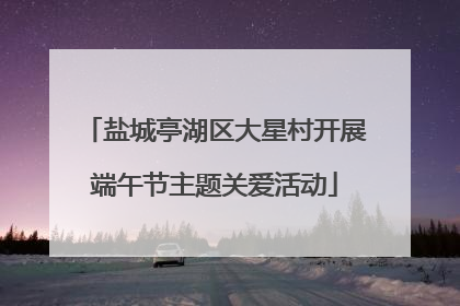 盐城亭湖区大星村开展端午节主题关爱活动