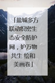 盐城多方联动织密生态安全防护网，护万物共生 绘和美画卷