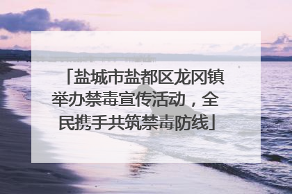 盐城市盐都区龙冈镇举办禁毒宣传活动，全民携手共筑禁毒防线