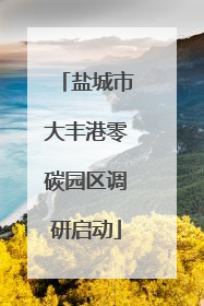 盐城市大丰港零碳园区调研启动