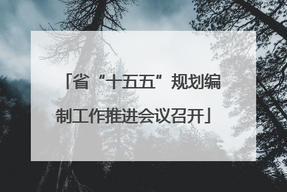 省“十五五”规划编制工作推进会议召开