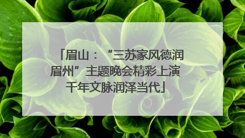 眉山:“三苏家风德润眉州”主题晚会精彩上演千年文脉润泽当代
