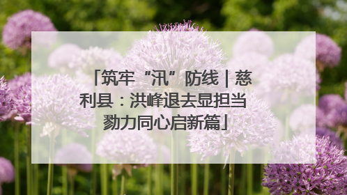 筑牢“汛”防线｜慈利县：洪峰退去显担当 勠力同心启新篇