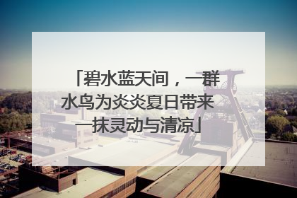 碧水蓝天间，一群水鸟为炎炎夏日带来一抹灵动与清凉