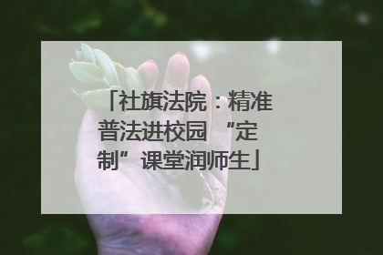 社旗法院：精准普法进校园 “定制”课堂润师生