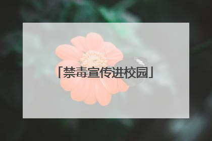 禁毒宣传进校园