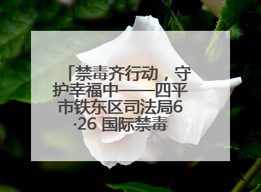 禁毒齐行动，守护幸福中——四平市铁东区司法局6·26 国际禁毒日禁毒宣传活动