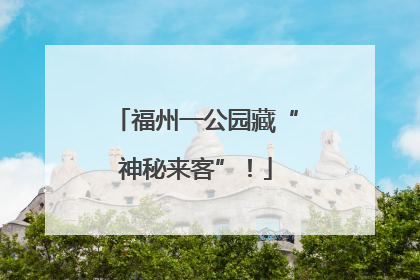 福州一公园藏“神秘来客”！