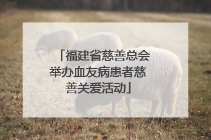 福建省慈善总会举办血友病患者慈善关爱活动
