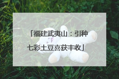 福建武夷山：引种七彩土豆喜获丰收