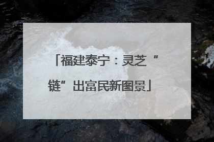 福建泰宁：灵芝“链”出富民新图景