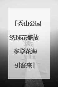 秀山公园绣球花盛放 多彩花海引客来