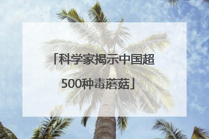 科学家揭示中国超500种毒蘑菇