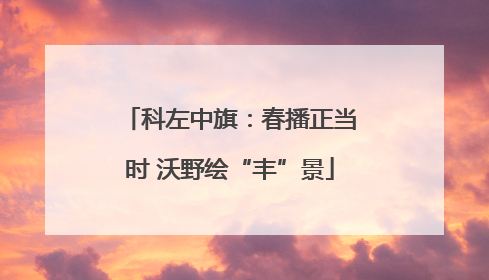 科左中旗：春播正当时 沃野绘“丰”景