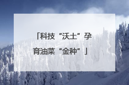 科技“沃土”孕育油菜“金种”