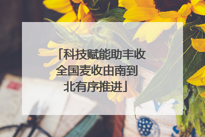 科技赋能助丰收 全国麦收由南到北有序推进