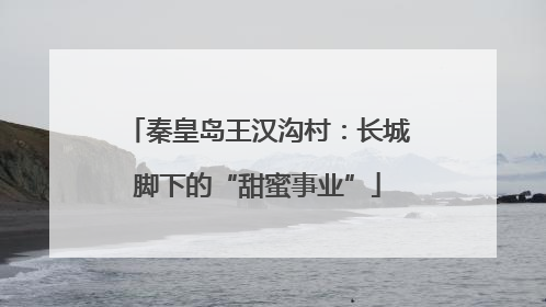 秦皇岛王汉沟村：长城脚下的“甜蜜事业”