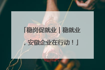 稳岗促就业｜稳就业，安徽企业在行动！