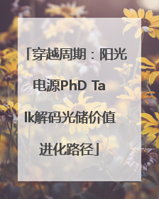 穿越周期：阳光电源PhD Talk解码光储价值进化路径