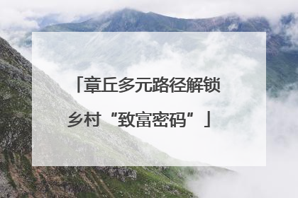 章丘多元路径解锁乡村“致富密码”