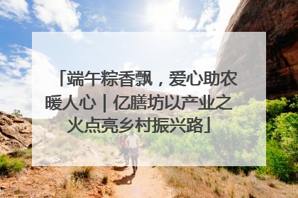 端午粽香飘，爱心助农暖人心｜亿膳坊以产业之火点亮乡村振兴路