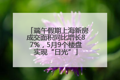 端午假期上海新房成交面积同比增长87%，5月9个楼盘实现“日光”