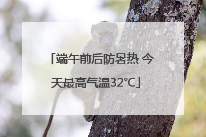 端午前后防暑热 今天最高气温32℃