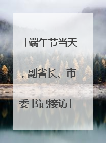 端午节当天，副省长、市委书记接访