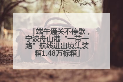 端午通关不停歇，宁波舟山港“一带一路”航线进出境集装箱1.48万标箱