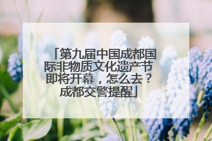 第九届中国成都国际非物质文化遗产节即将开幕，怎么去？成都交警提醒