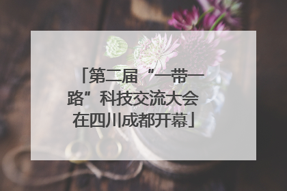 第二届“一带一路”科技交流大会在四川成都开幕