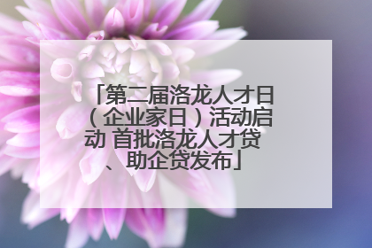 第二届洛龙人才日（企业家日）活动启动 首批洛龙人才贷、助企贷发布