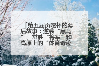 第五届贡嘎杯的幕后故事：逆袭“黑马”、常胜“将军”和高原上的“体育奇迹”丨微纪录