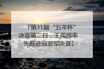 第31届“五羊杯”决赛第二日，王禹博率先挺进冠亚军决赛